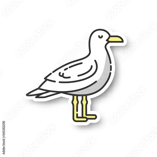 Seagull patch. Common seabird, ordinary flying animal. Beaches and coastlines inhabitant. Zoology, ornithology RGB color printable sticker. Sea mew, gull vector isolated illustration