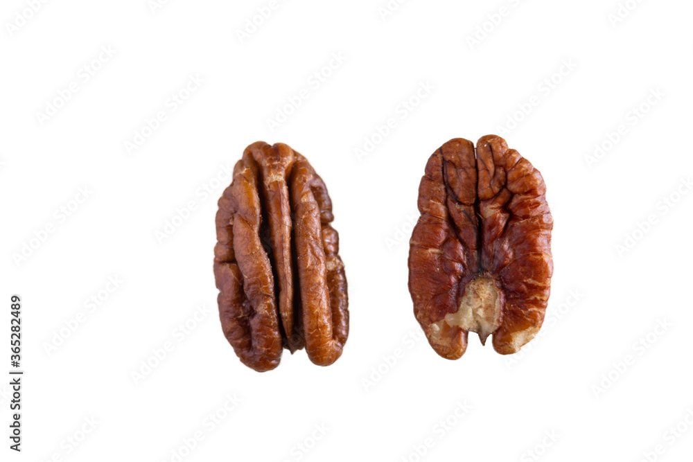 Close up of two organic natural pecans isolated on a white background, macro back and front view