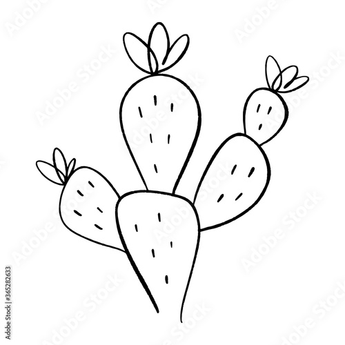 Simple icon cactus. One line drawing. House or wild cactus. Black and white clipart vector illustration.