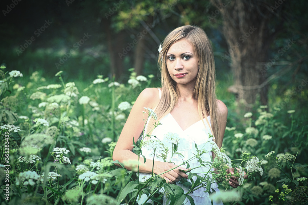 The nice blonde poses dressed in a white cloth amid the high grass and wild flowers The nice blonde poses dressed in a white cloth amid the high grass and wild flowers