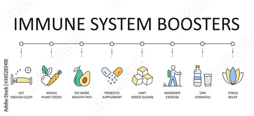 Vector banner immune system boosters. Colored icons editable stroke. Get enough sleep whole plant foods, eat more healthy fats probiotic supplement. Limit added sugars moderate exercise, stress relief
