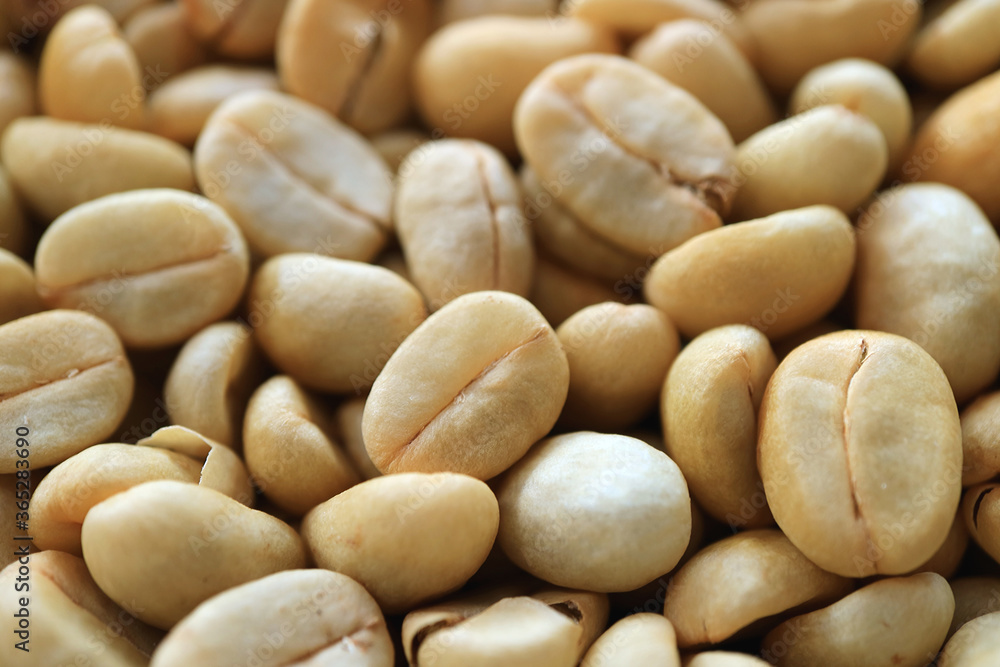 Closeup heap of parchment coffee beans