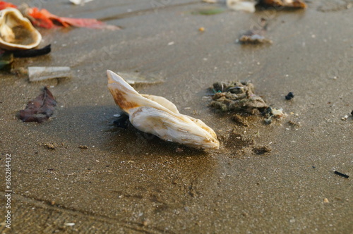 Beach scenery