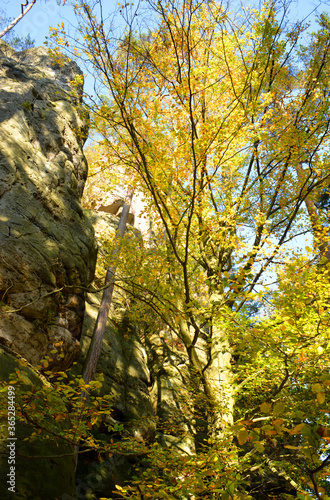Beautiful autumn landscape sand stone rocks and trees in sunlight