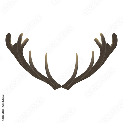 Isolated moose antlers. Vintage decoration - Vector