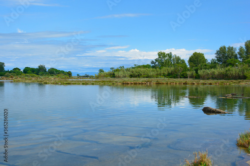 The wetlands of Isola Della Cona in Friuli-Venezia Giulia, north east Italy 