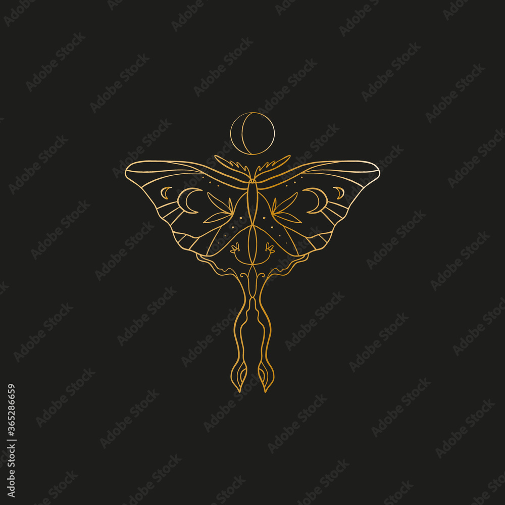 Sacred line geometric symbol with butterfly and moon phase, gold figure on black background. Abstract mystic geometry. Vector illustration. - obrazy, fototapety, plakaty 