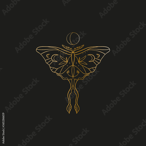 Sacred line geometric symbol with butterfly and moon phase, gold figure on black background. Abstract mystic geometry. Vector illustration.