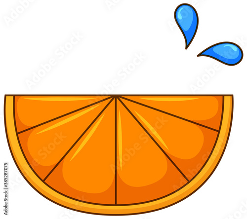 One slice of orange on white background