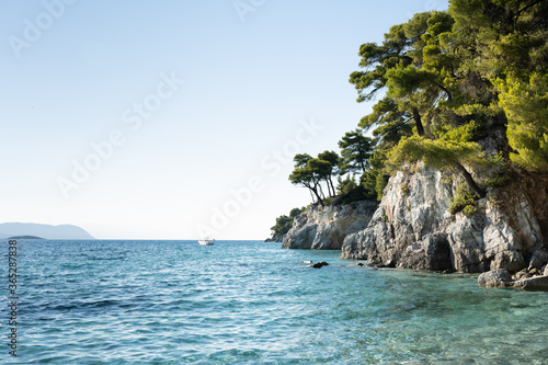 The white rocky coast with trees and beach of the Greek island Skopelos of the Sporades.