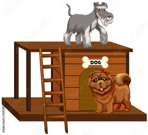 Dog house with cute dogs isolated