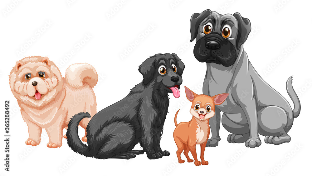 Fototapeta premium Cute animal dog group isolated on white background