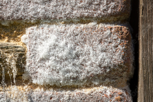 Fotografie Detail of Saltpeter, Saltpetre or Potassium nitrate on a brick wall