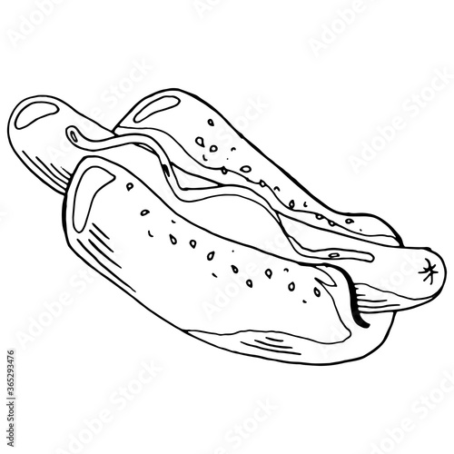 Hot dog. Vector illustration of a hot dog with ketchup or mustard. Fast food, unhealthy eating.