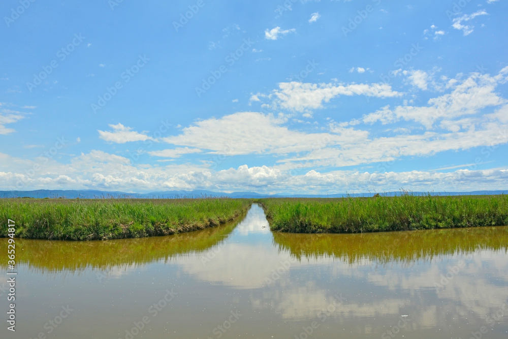 The wetlands of Isola Della Cona in Friuli-Venezia Giulia, north east Italy
