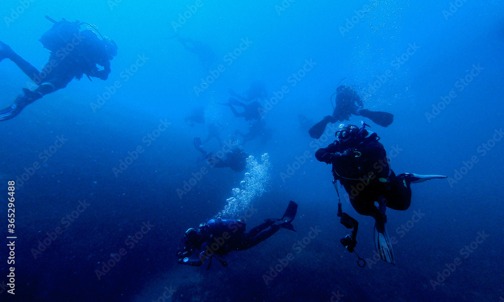 Scubadiving. Scuba divers diving at the shipwreck. Scubadiving. Scuba divers diving at the shipwreck.