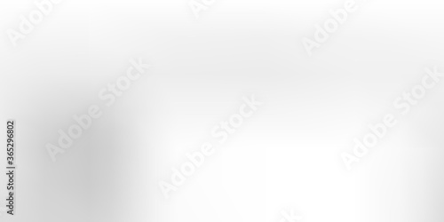 Light Gray vector blurred background.