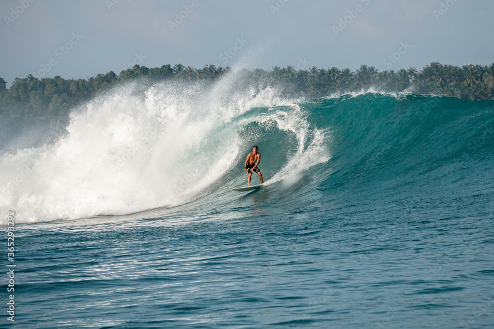 Surfer on perfect blue big tube wave, empty line up, perfect for surfing, clean water, Indian Ocean in Mentawai islands Surfer on perfect blue big tube wave, empty line up, perfect for surfing, clean water, Indian Ocean in Mentawai islands