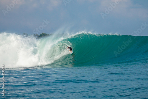 Surfer on perfect blue big tube wave, empty line up, perfect for surfing, clean water, Indian Ocean in Mentawai islands