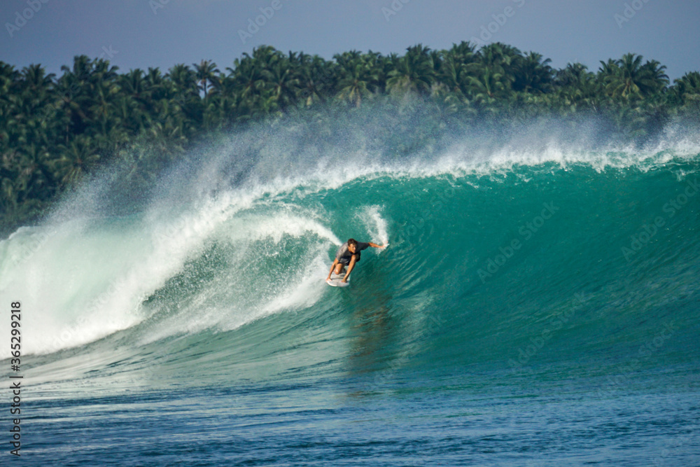 Surfer on perfect blue big tube wave, empty line up, perfect for surfing, clean water, Indian Ocean in Mentawai islands Surfer on perfect blue big tube wave, empty line up, perfect for surfing, clean water, Indian Ocean in Mentawai islands