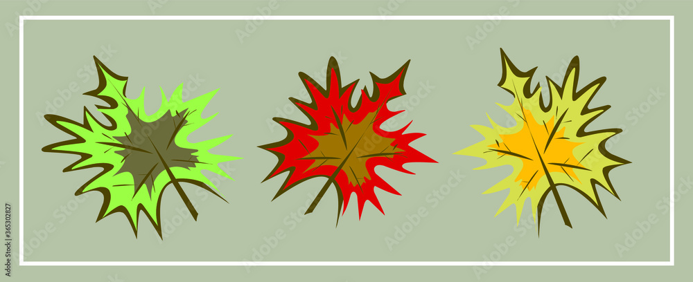 Fall, autumn. Mushrooms. Leaves. Maple. Oak. Pumpkin. Rowan. An Apple. September. October. November. Set of autumn vector isolated images. Fall, autumn. Mushrooms. Leaves. Maple. Oak. Pumpkin. Rowan. An Apple. September. October. November. Set of autumn vector isolated images.