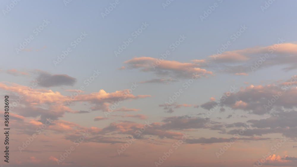 Many floaty small white clouds running through the blue sky in the sunset. Fluffy clouds background
