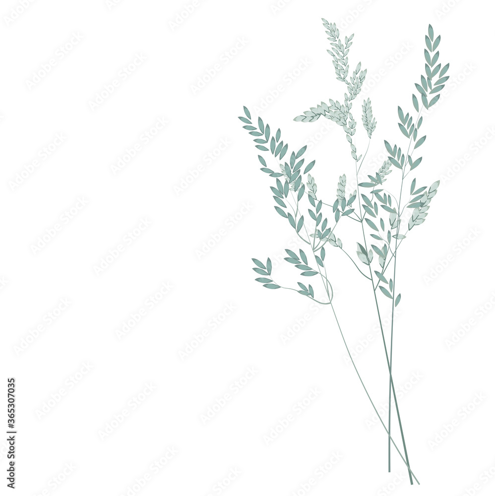 Obraz premium Czas ilustracja wektorowa trawy pampasów. Śmietana gałąź suchej trawy. Panicle Cortaderia selloana Ameryka Południowa, pióropusz z kwiatostanu. delikatny miętowy kolor. Szablon karty ślubu.