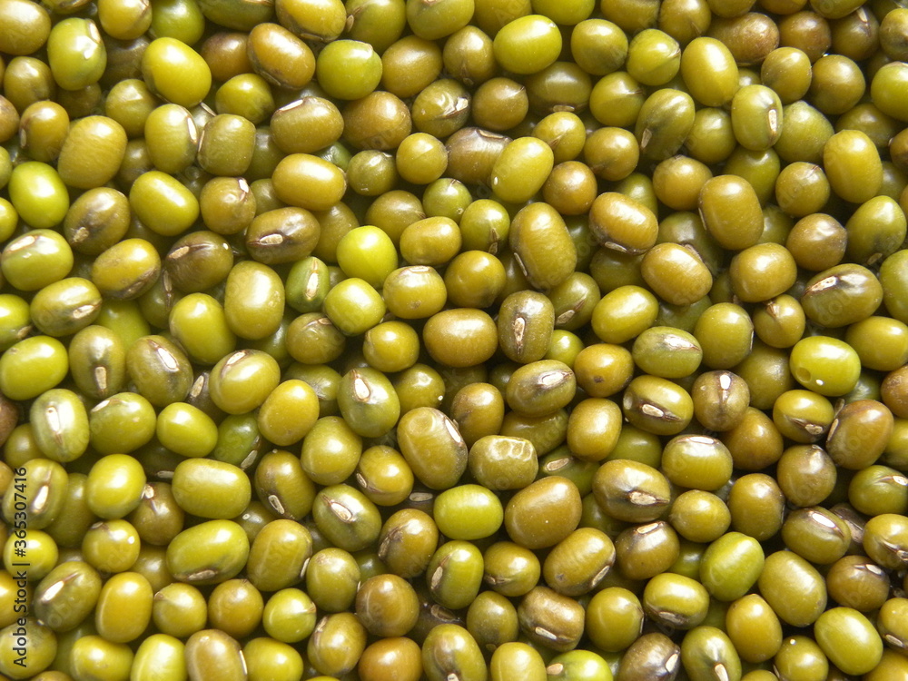 Green color whole Mung beans legume Green color whole Mung beans legume