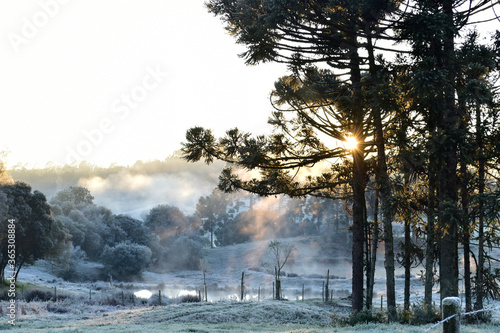 sunset in winter in Rio Grande do Sul,Brazil.