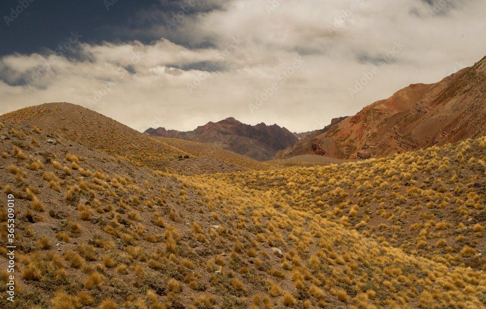The golden valley. Panorama view of the desert, rocky mountains and yellow grassland in autumn. 