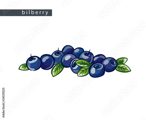 sketch_bilberry_big_pile_of_berries