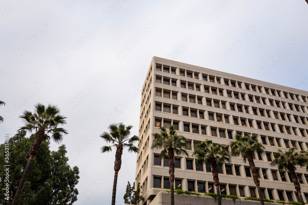 Office Building w. Palm Trees