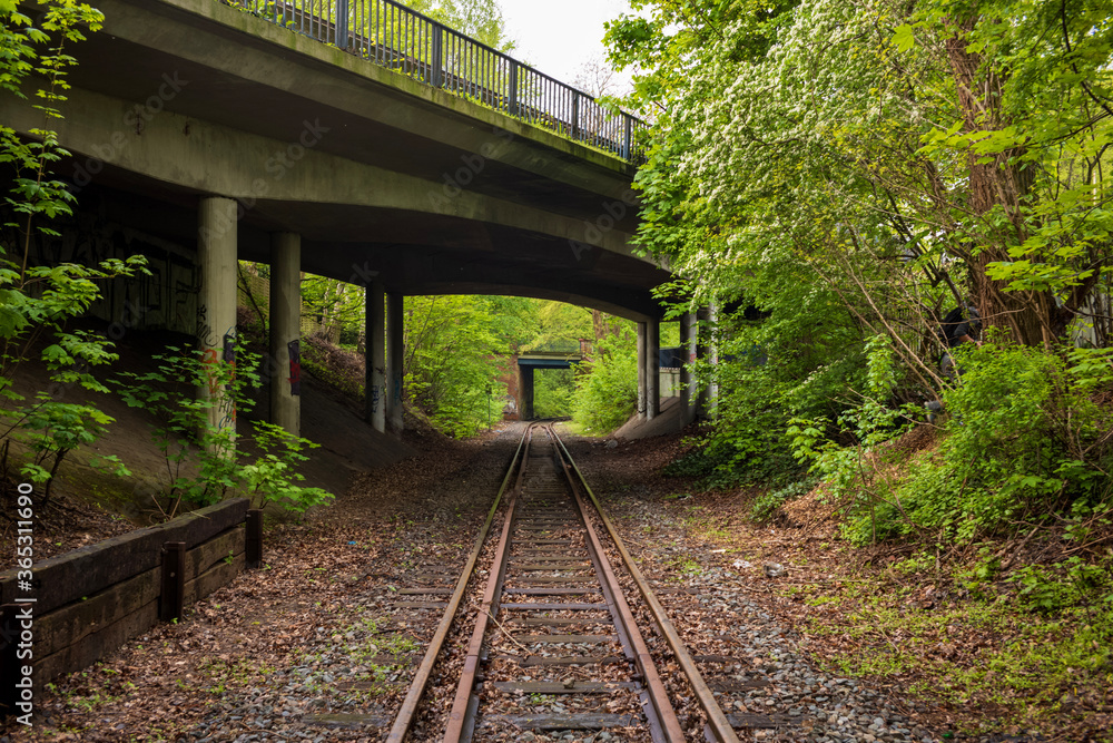 Fototapeta premium Train tracks
