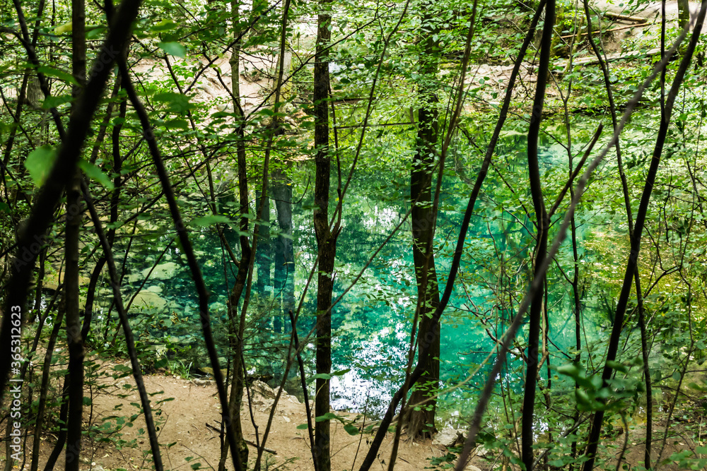 Obraz premium Ochiul Beiului, emerald lake in National Park Cheile Nerei - Beusnita, Banat, Romania.