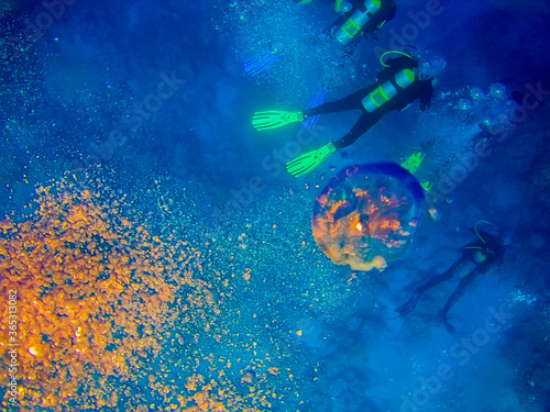 Scuba divers at sea tropical depth, bright adventures under water, coral reefs, air bubbles