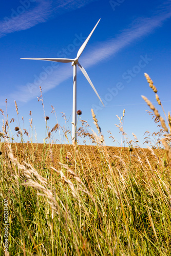 White windmill in cereal field