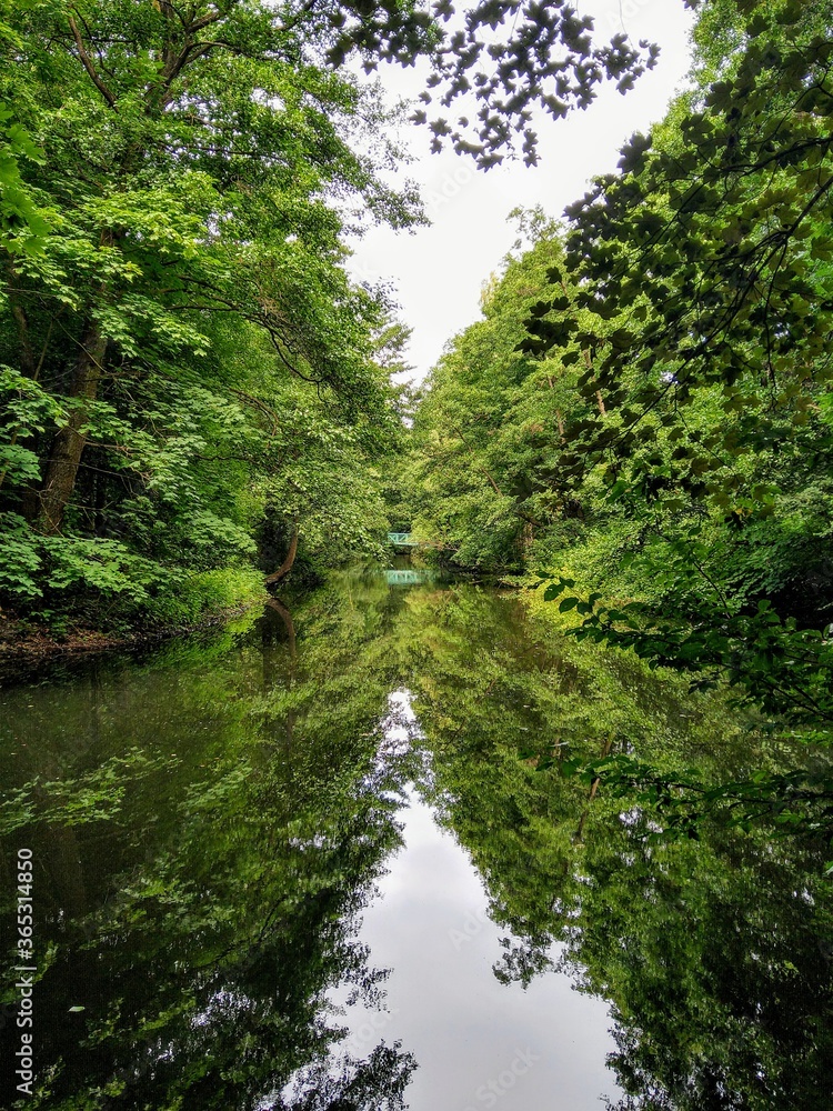 river in the forest river in the forest