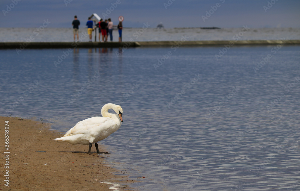 Nature reserve