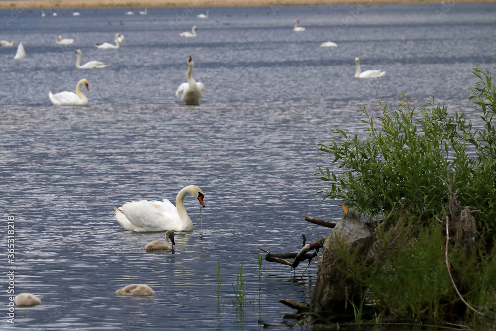 Nature reserve