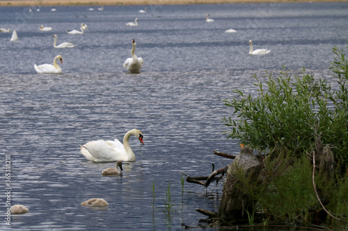 Obraz na płótnie Nature reserve