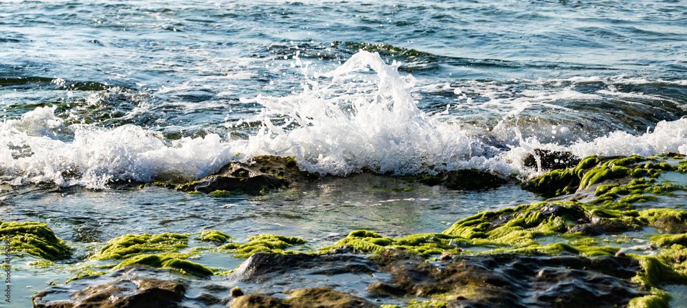 Fototapeta premium water splash on rocks