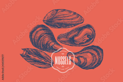 Seafood. Hand-drawn set of mussels in different foreshortening vector illustration. Seashells in engraving style on a red background. The menu design element of a fish restaurant, market or store.