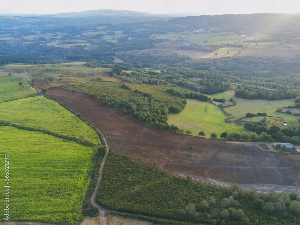 Green fields in Spain. Aerial Photo