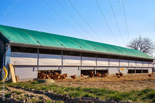 Mobile chicken coop with chickens on an organic farm.