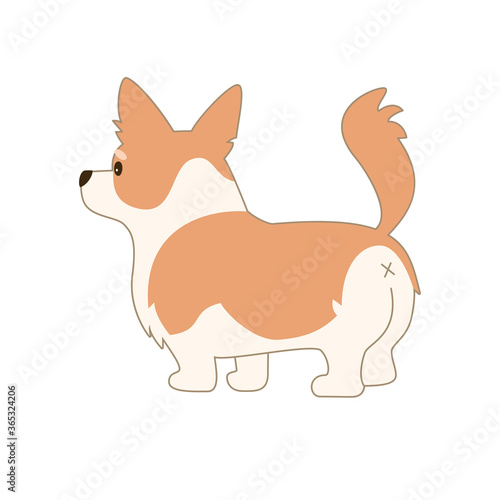 Cartoon welsh corgi on white background.