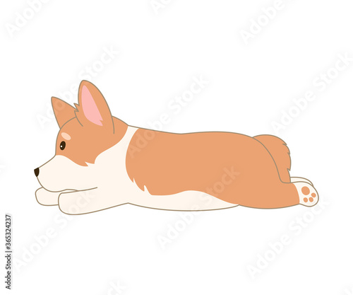 Cartoon welsh corgi on white background.