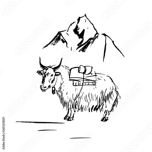 Nepalese bull on a background of mountains.