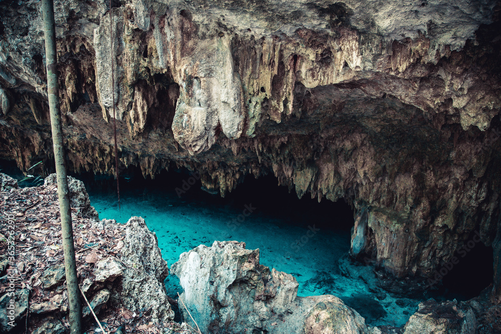 Bright Blue Water, Stone Cave Wall, and Jungle Vines of a Cenote Bright Blue Water, Stone Cave Wall, and Jungle Vines of a Cenote