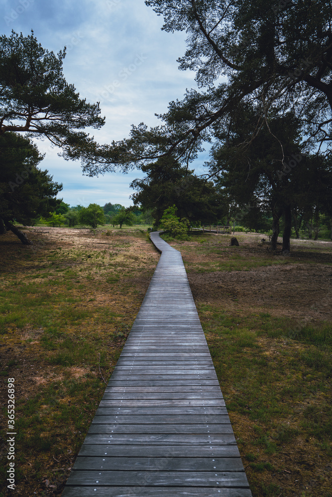 walk to the nature