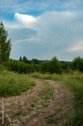 Dirt road in the middle of a green flowering meadow and forest on a clear sunny summer day.